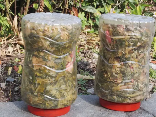 The Art of Fermentation in North Eastern India