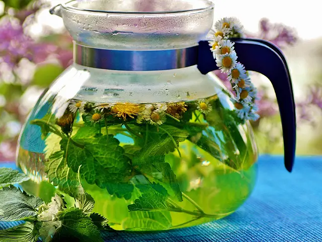 Fresh Herbal Tea – what a treat!