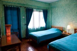 Panorama View Twin Room with Balcony - Fern