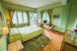 Panorama View Double Room with Balcony - Bamboo