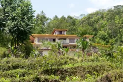 Bamboo Retreat Hotel - Outside Building View Patio