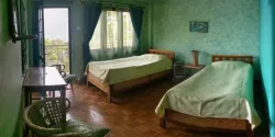 Panorama View Twin Room with Balcony - Fern