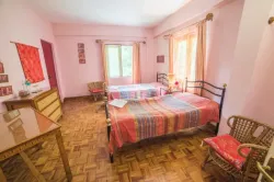 Forest View Twin Room - Rhododendron
