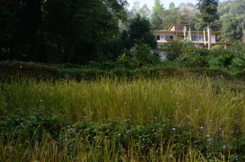 Bamboo Retreat Hotel - Outside Building View Patio