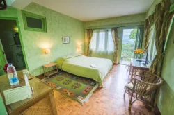 Panorama View Double Room with Balcony - Bamboo