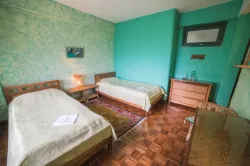 Panorama View Twin Room with Balcony - Fern