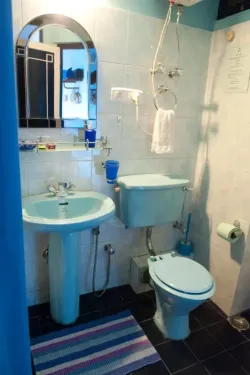 Panorama View Double Room with Balcony : Bathroom  : Bathroom - Blue Poppy