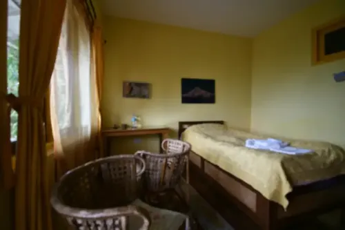Panorama View Single Room with Balcony - Haldi