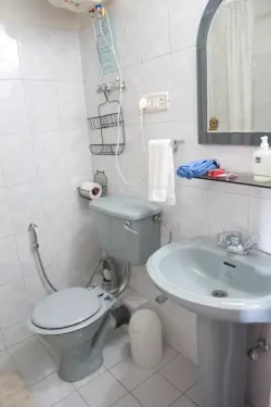 Panorama View Double Room with Balcony : Bathroom - Silver Fir