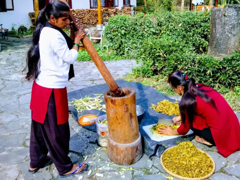 The Art of Fermentation in North Eastern India Image