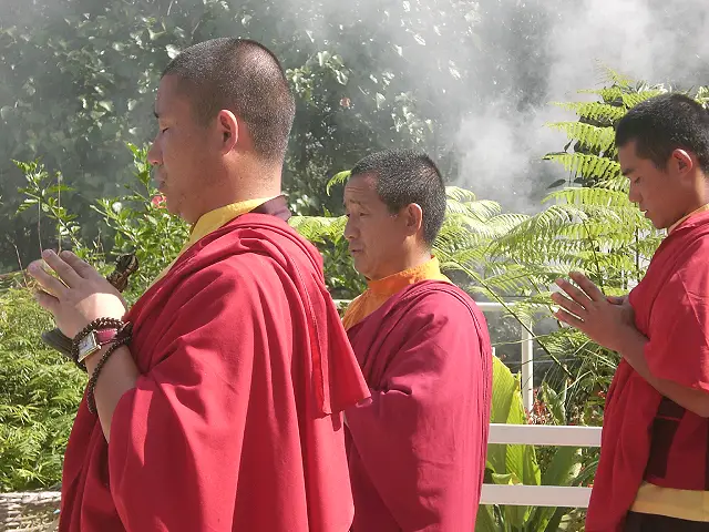 Introduction to Buddhism Image