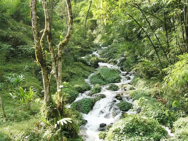 Viewpoint in Fambong Lho Wildlife Sanctuary Image