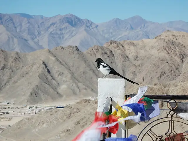 Eco Tourism Sikkim Image Two