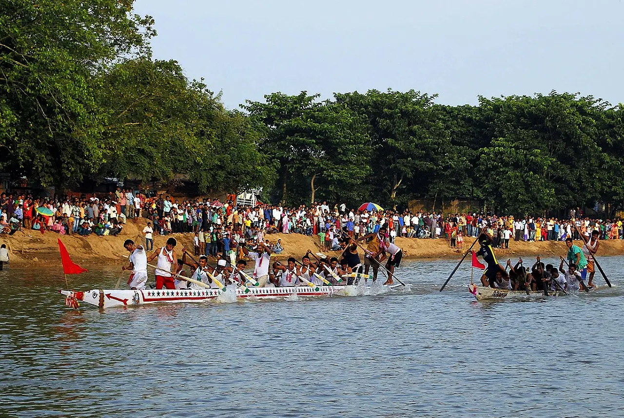 Festival Experiences Image