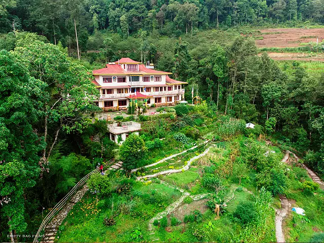 Garden Walk in Bamboo Retreat Image