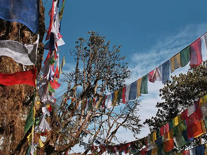 Holy Caves of Sikkim Image