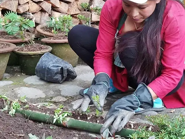 Bamboo Retreat Hotel - Organic Garden Image three