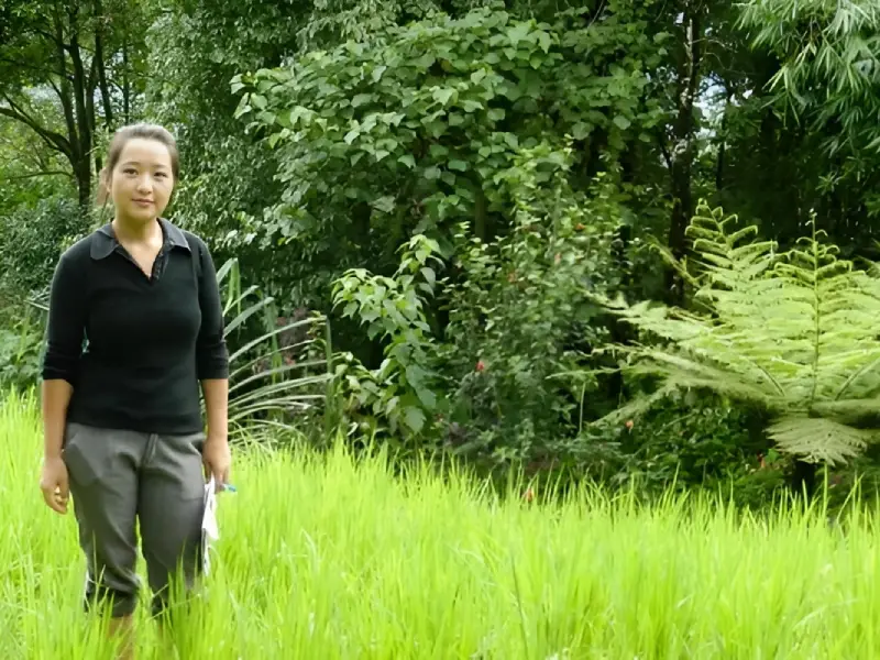 Permaculture Image