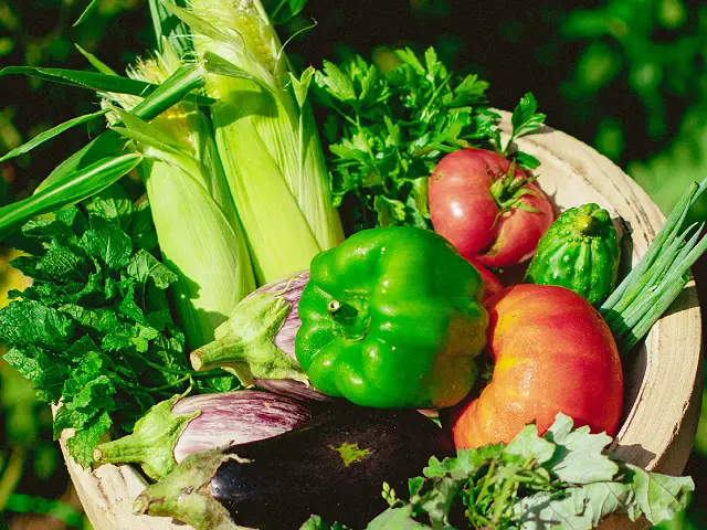 Permaculture is diverse and full of life Image two