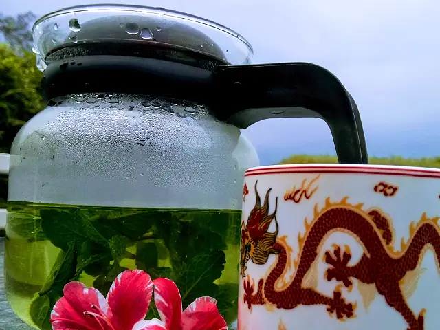 Teas of India at Bamboo Retreat Hotel Image