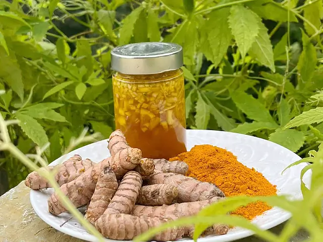 Golden Oxymel Recipe - Image Three