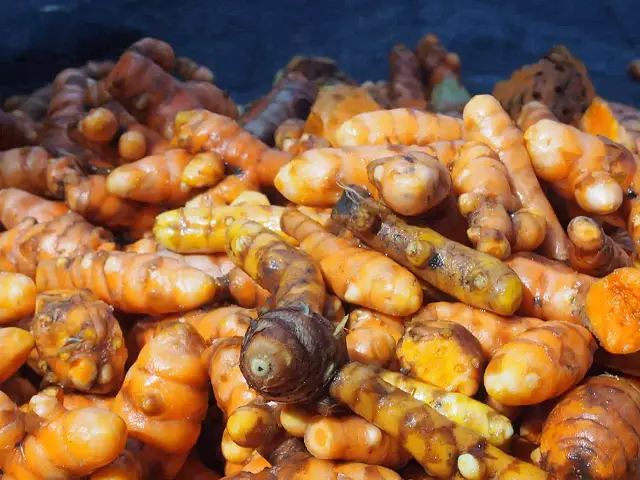 Turmeric at the Bamboo Retreat Hotel - Image Three