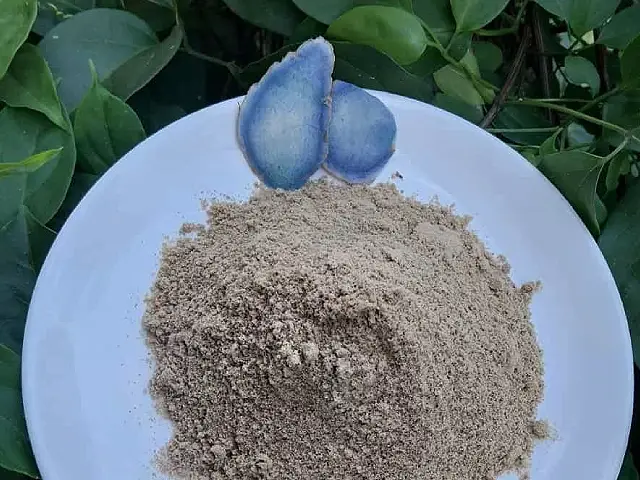 Golden Oxymel Recipe - Image One