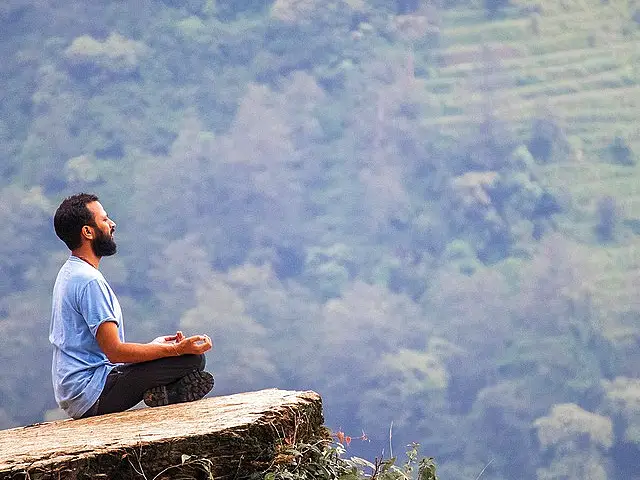 Yoga in Bamboo Retreat Image